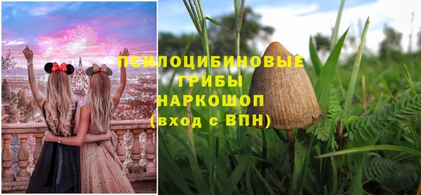 бутират Алзамай